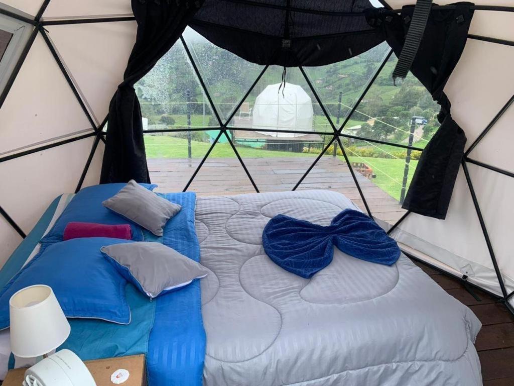 Glamping Ecoturistico La Camping *