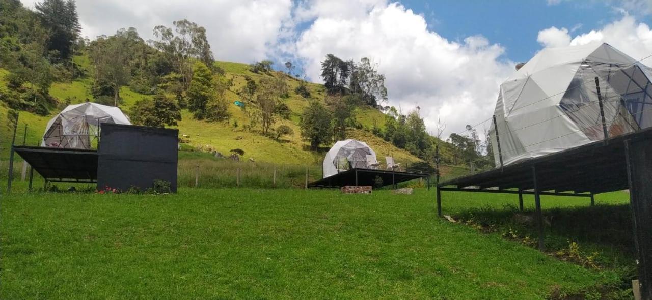 Glamping Ecoturistico La Camping Las Tapias
